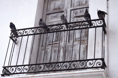 Zalety stosowania papy w izolacji balkonu - kompleksowe remonty